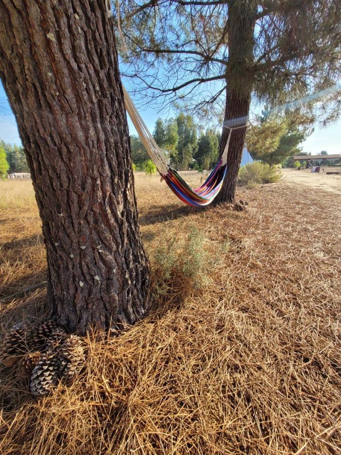 Hotel Goodmuda Tipi'S Grândola Zewnętrze zdjęcie